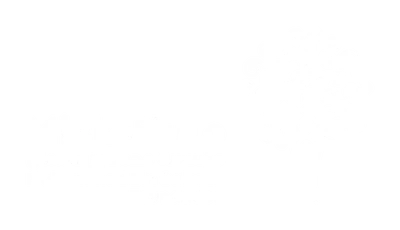 Misk, Mohammed bin Salman Foundation
